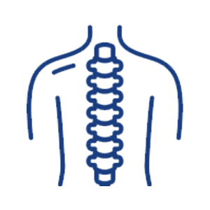 muscoskeletecal