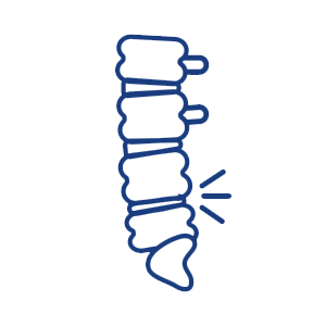 spine